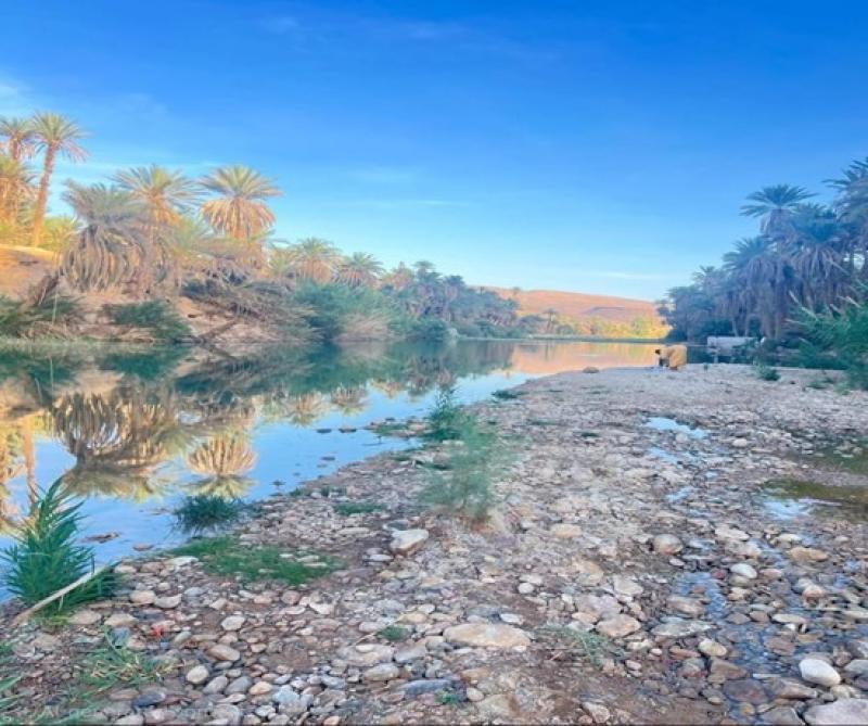 الماء والذاكرة الجماعية: واحة أقا نموذجا لصراع الموارد و الهوية 