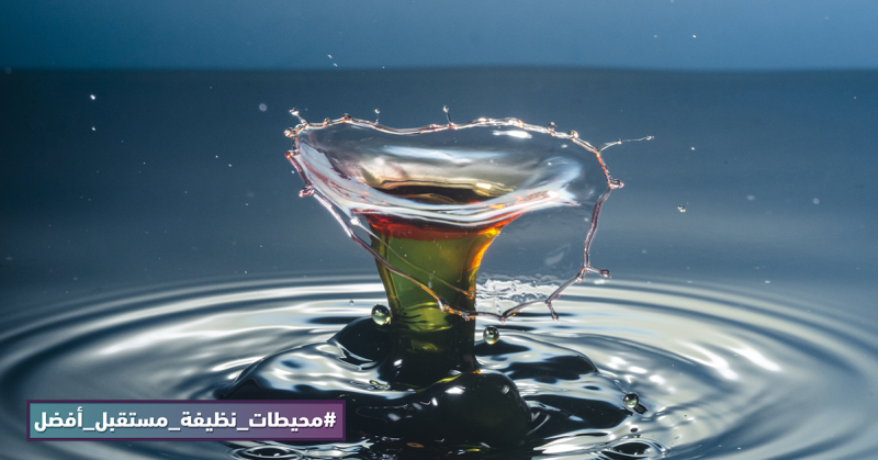 عمليات الصيانة وتنظيف السفن في تونس: القاتل الخفي في أعماق البحار